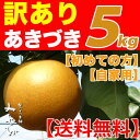 【送料無料】【訳あり】あきづき梨 5kgみやびのワケアリは他...