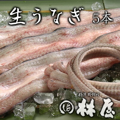 生うなぎ(5本) 特製たれ・肝・骨付き林屋の鰻はすべて国産。厳選された肉厚な生鰻です。