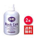【880円お得!】ブラック・ケアシャンプー 600ml 2本 ブラックケアシャンプー ブラックシャンプー リンス不要