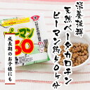 納豆【大正元年創業の職人技】ピーマン50 50g×2パック プチギフト ナットウキナーゼ 納豆キナーゼ 納豆菌 プチギフト スーパーフード