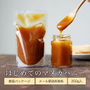 はじめてのマヌカハニー 250g スタンダード 袋パッケージ スタンドパック 【着後レビューで1000円OFFクーポンプレゼント】 メール便A