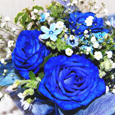【青い薔薇】バラ ブルーローズフラワー【花】【花束】【ギフト】【父の日】【メッセージカード無料】【鮮度保持剤】【送料無料】