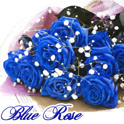青い薔薇 バラ【ブルーローズ】フラワー【花】【花束】【ギフト】【父の日】【メッセージカード無料】【鮮度保持剤】【送料無料】
