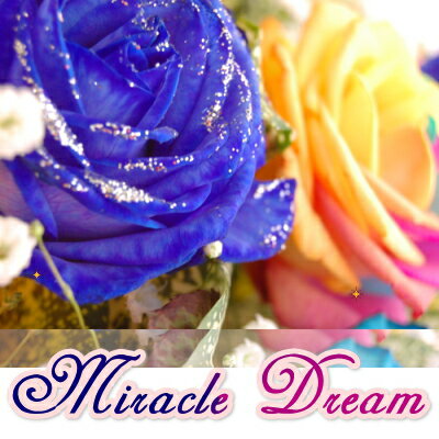 ミラクルドリーム〜miracle dream〜◎【ギフト】【誕生日】【メッセージカード無料】【鮮度保持剤】