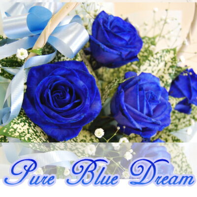 【青い薔薇】バラ【ブルーローズ】フラワー【花】【花束】【ギフト】【父の日】【メッセージカード無料】【楽ギフ_包装】【楽ギフ_メッセ入力】【鮮度保持剤】【楽ギフ_ メッセージカード】ピュアブルードリームpure blue dream◎
