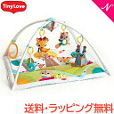 【期間限定!今ならハンドトイプレゼント!】【正規品】【送料無...