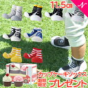 _5{^    JbvP[L\bNX v[g  r[łȂ  r^bgv[g Baby feet (xr[tB[g) 11.5cm xr[V[Y xr[Xj[J[ t@[XgV[Y g[jOV[Y    i`rO 