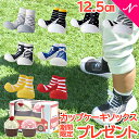 _5{^    JbvP[L\bNX v[g  r[łȂ  r^bgv[g Baby feet (xr[tB[g) 12.5cm xr[V[Y xr[Xj[J[ t@[XgV[Y g[jOV[Y    i`rO 