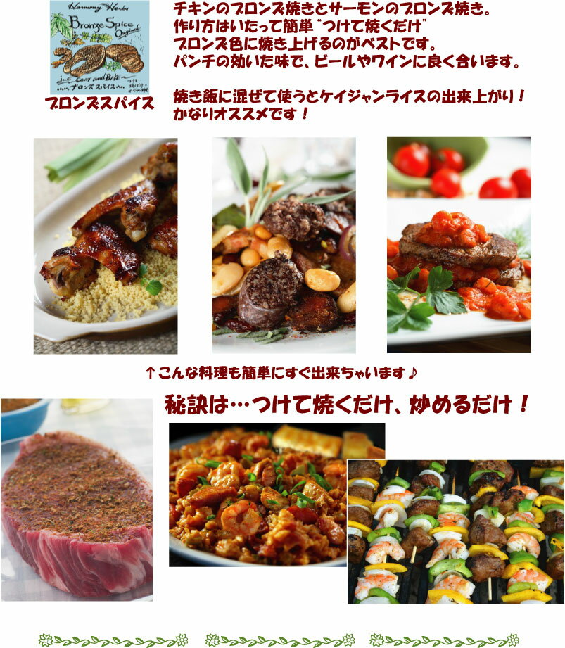 【送料無料】料理が楽しくなるスパイスハーブ3点セット『簡単レシピ付』 【送料無料】　【smtb-k】 10P25Jun12簡単お手軽♪キッチンでシェフの味今日から我家がレストラン