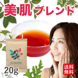 【無農薬 ハーブティー 送料込】美肌 <strong>ローズヒップ</strong> <strong>ハイビスカス</strong> ステビア ( 美 <strong>オーガニック</strong> ノンカフェイン 対策 20g)【 ハーブ茶 アイスティー】