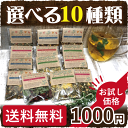 【選べる お試し オーガニック ハーブティー 10種類 セット】1000円ポッキリ 送料無料 無農薬 【ブレンドハーブティー】【アイスティー】【チャイ】【初回限定】