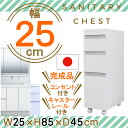 すきま収納 ( 幅25cm 奥行45cm 高さ85cm 隙間...