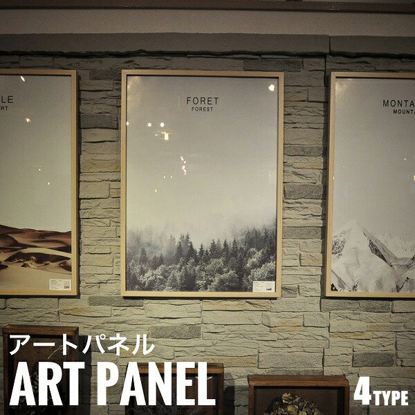 ArtPanel アートパネル マスターピース壁掛け 写真 おしゃれ 高級感 砂漠 森 山 海 雪 冬