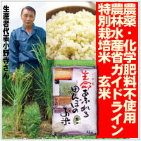 【生命あふれる田んぼのお米・玄米20kg】(4kg×5袋）産地直送