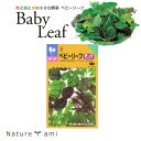プランターや植木鉢で栽培!【ベビーリーフ 種 20