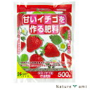 【肥料】 甘いイチゴを作る用 500g 有機肥料含有(郵便配送商品)