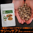ダイエット補助に 沙棘(サジー)サプリ カルシウムプラス 30日分(320mg×60粒) 高抗酸化力 自然由来の安心 サプリメント【ポイント10倍】