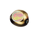 ダイワ(Daiwa) 紅牙ベイラバーフリー ヘッド 100g 鍍金(メッキ)ゴールドH 04825261