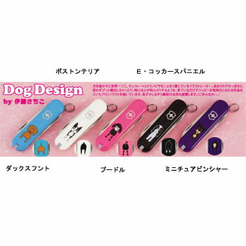 Dog　Design ボストンテリア