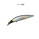 ダイワ(Daiwa) ショアラインシャイナー カレントマスター9S 93mm トランスイワシ