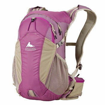 GREGORY(쥴꡼)ʥХ 11L ᥸