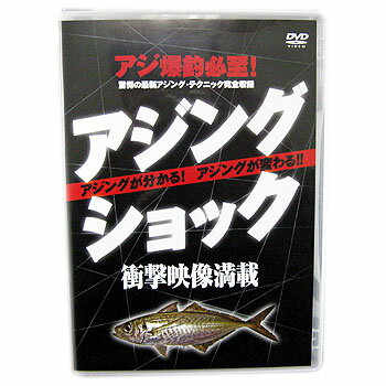 [オススメ]　名光通信社ルアーニュースムービー　アジングショック DVD60分