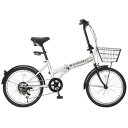 Raychell(レイチェル) R-241N 20インチ シルバー 17074 【個別送料品】 大型便