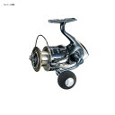 シマノ(SHIMANO) 17ツインパワー XD C3000...