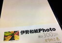 大豊和紙 伊勢和紙 Photo とりのこ色 300μm サイズ四切ワイド(一袋単色10枚入り) kt300Yw