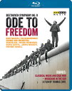 自由への頌歌-「1989年11月9日 ベルリンの壁崩壊」25周年を祝して《BD》