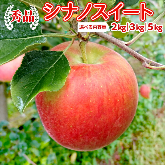 秀品 シナノスイート選べる内容量 約2kg 約3kg 約5kg りんご リンゴ 林檎 アップル 長野県産 豊丘村 新品種 産地直送 夏りんご フルーツ くだもの 果物 旬の果物 旬のフルーツ デザート 残暑見舞い 敬老の日：c109-a