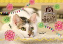 【メール便対応】2019年カレンダー ネコリパブリックオリジ...