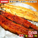 【ご贈答ご自宅にも】送料無料 お祝いギフト 国産うなぎ 特大...