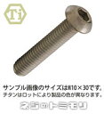 チタン　ボタンキャップ [ 全ねじ ] 　M8 × 25　【 1本 】 【SBZcou1208】2,000円（税別）以上購入で配送料無料！