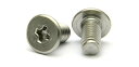 ステンレス/生地 (+) スリムヘッド小ねじM4 × 15 【 お得セット : 100本入り 】