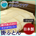 【日本製 ダクロン アクア 掛け布団 ジュニア】ふっくら軽い あたたかい ホコリが出にくい 掛ふとん No.9 インビスタ社