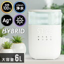 【あす楽】 ハイブリッド加湿器 6L 【100℃加熱&銀イオ...