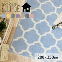 【マラソンセール最大2000円OFFクーポン配布中】 【福袋対象品】ラグ ラグマット カーペット 絨毯 モロッカン柄 送料無料 グリーン 洗える HOT床暖房対応 北欧 デザイン 大人かわいい ナチュラル エリプス/200×250cm グレー グリーン あす楽 neore