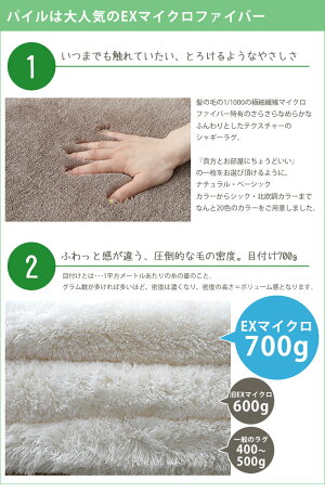 EXマイクロファイバーパズルラグ