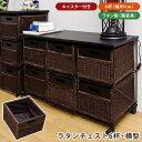 期間限定 【ラタンシリーズ】ボリュームたっぷり ラタンチェスト 6杯横型 ヨコ型 アジアンラタン 収納ラタン 自然素材ラタン ラタンチェスト