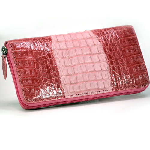 yzō̃JC}jvJC}zyz@05P22feb11