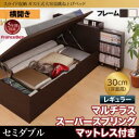 スライド収納_大容量ガス圧式跳ね上げベッド Many-IN ...