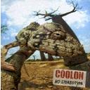 NO STEREOTYPE / COOLON