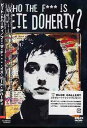 【送料無料選択可!】who the hell is Pete Doherty? / ピート・ドハーティ