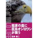 【送料無料選択可!】知床の森に巨鳥オジロワシが舞う/石井英二 / ドキュメンタリー