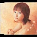 ロマンティック 浮かれモード / 藤本美貴