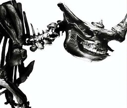 Mr.children <strong>1996-2000</strong>[CD] / Mr.Children