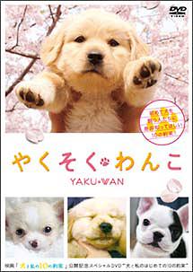 やくそくわんこ / 趣味教養