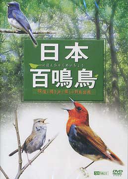 日本百鳴鳥/映像と鳴き声で愉しむ野鳥図鑑 / 趣味教養