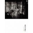 理由なき暴行 / 邦画